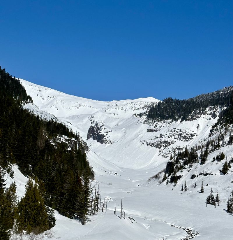 White Pass Offers A Low-Key Alternative To Major Ski Resorts