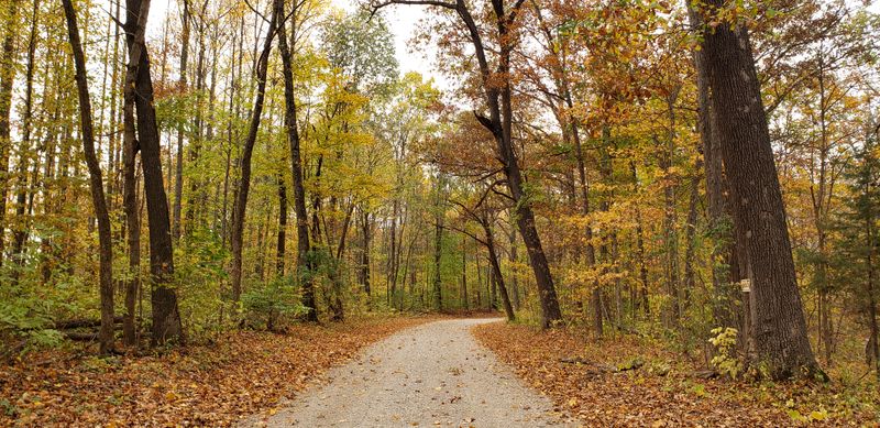 Outside Of Festival Weekends, Mansfield Is Nearly Silent