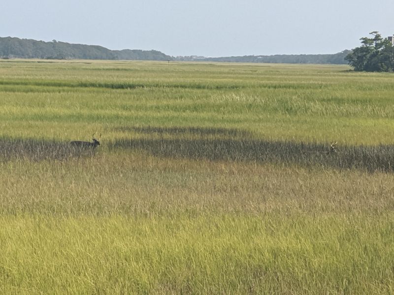 Birdsong Is The Soundtrack Here (And The Birdwatching Is Unreal)
