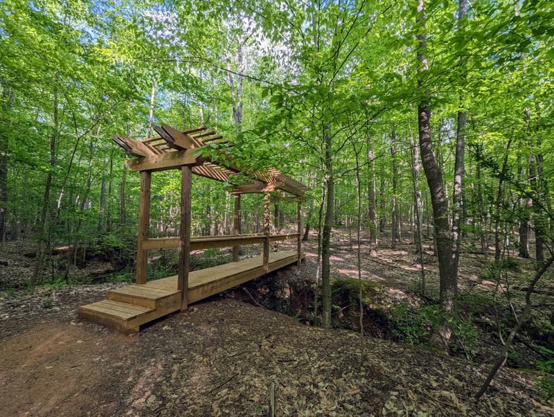 RibbonWalk Nature Preserve (North Charlotte / Nevin Rd Area)