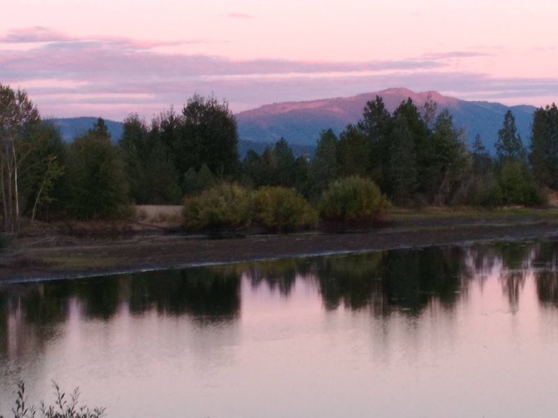 Wildlife Viewing Is Part Of Everyday Exploration