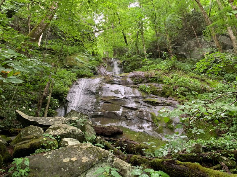 Porters Creek Trail To Fern Branch Falls (Greenbrier Near Gatlinburg)