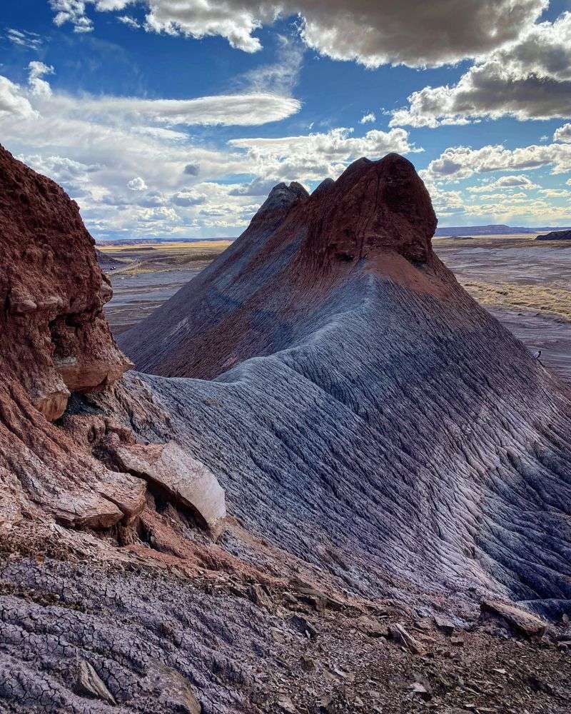Petrified Forest National Park (near Holbrook)