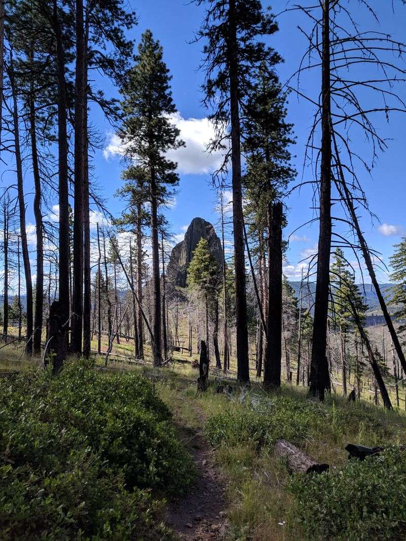 Mill Creek Wilderness