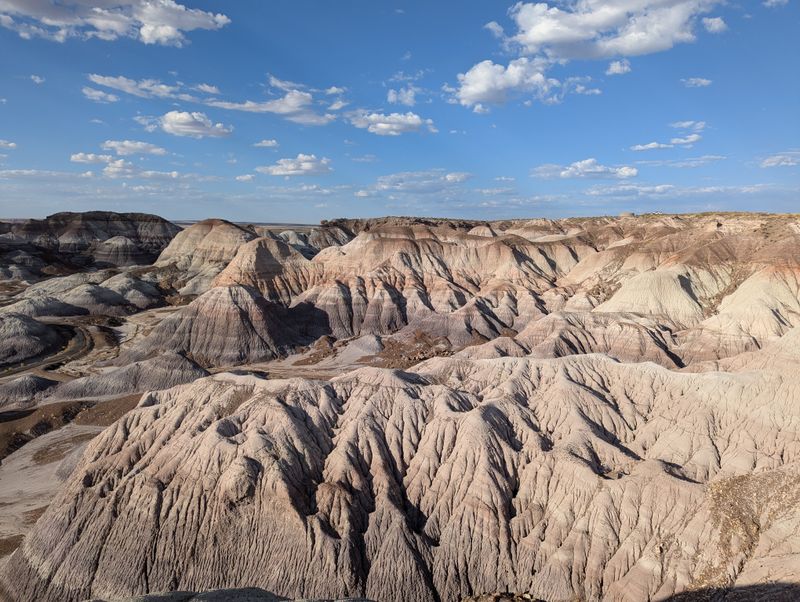 Petrified Forest National Park (Painted Desert)