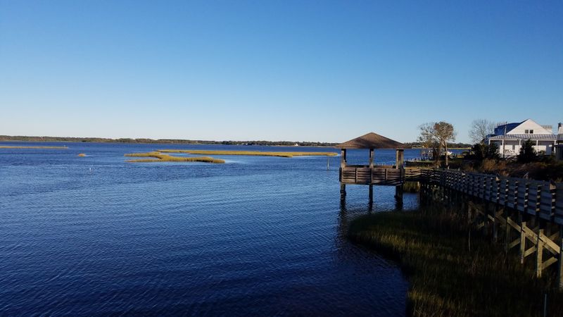 Bicentennial Park Is Your Do-Nothing Waterfront Reset Spot