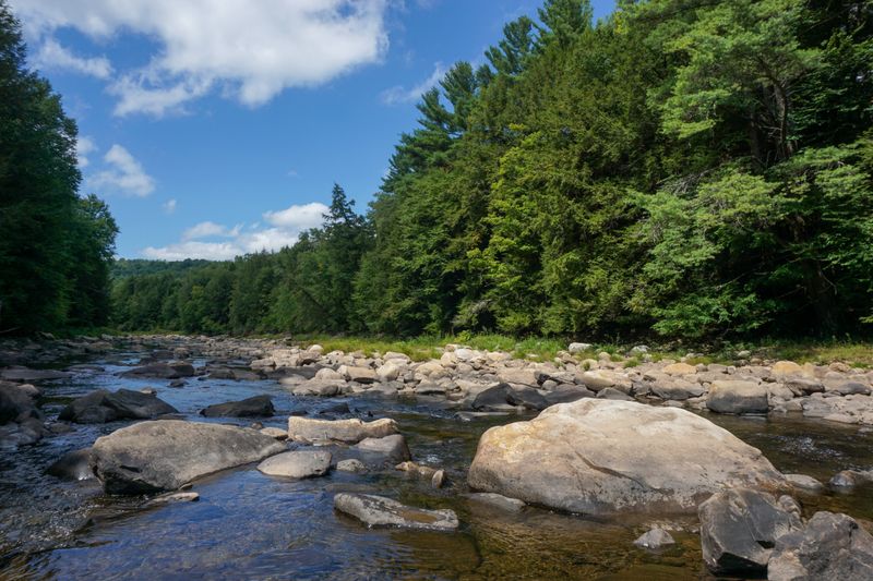 A Hideaway Surrounded by State Forests That Protect Its Peace
