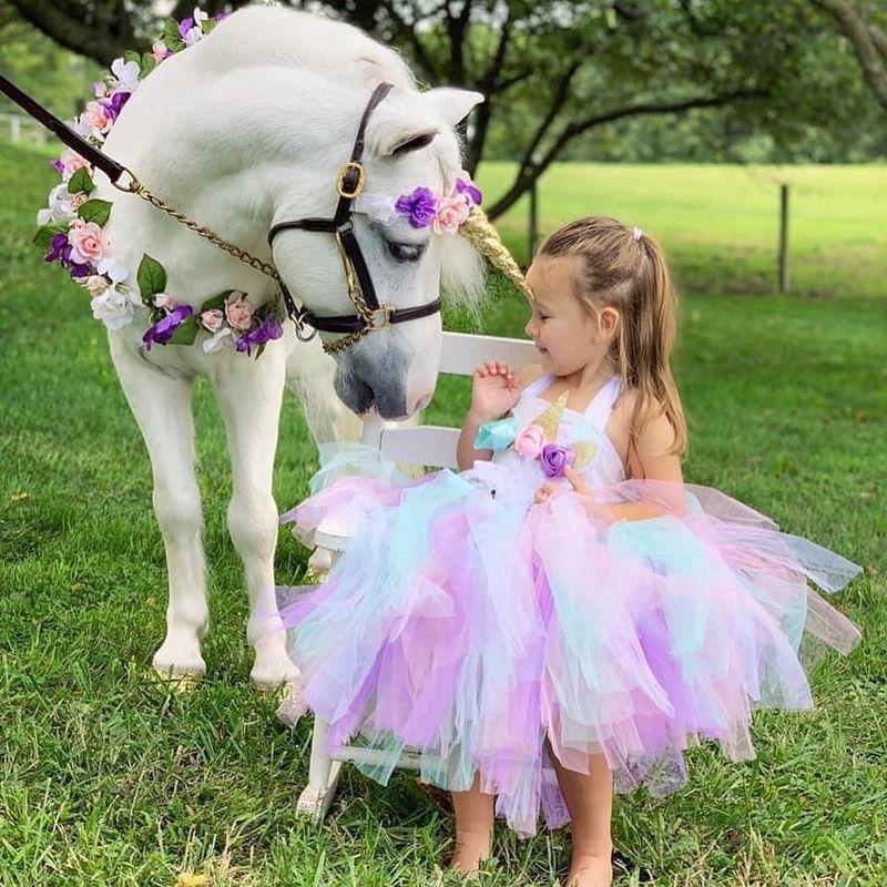 Michigan Lavender Festival (Imlay City)