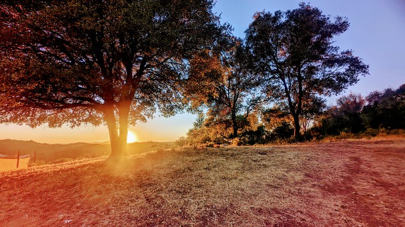 Four Distinct Seasons Bring Real Autumn And Mild Summers