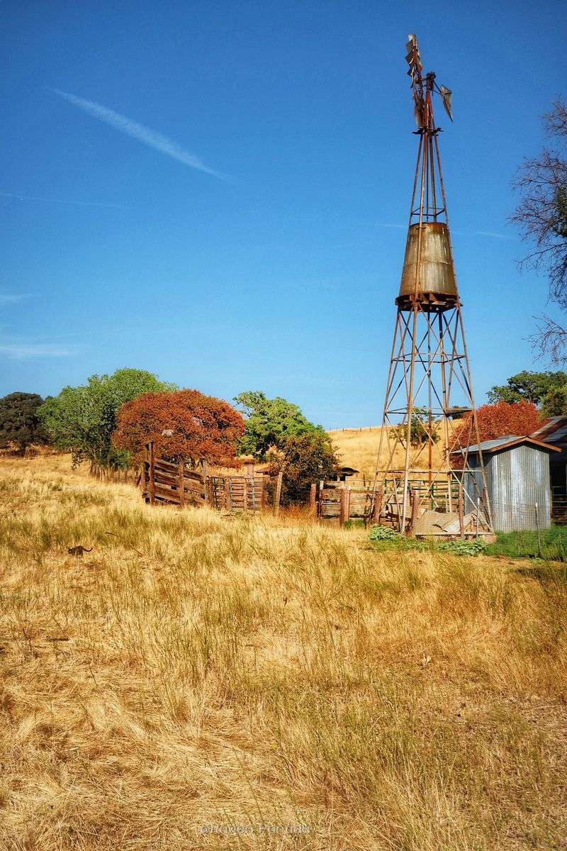 Cemetery Overlook & Ghost Stories: When The Past Keeps Its Secrets