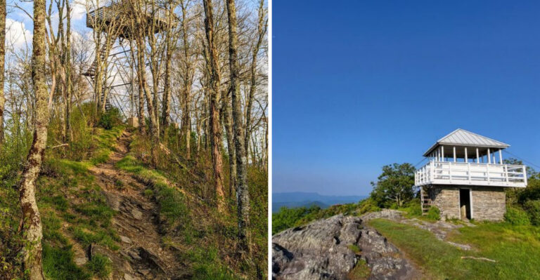 North Carolina’s Secluded Mountain Hikes Locals Keep To Themselves