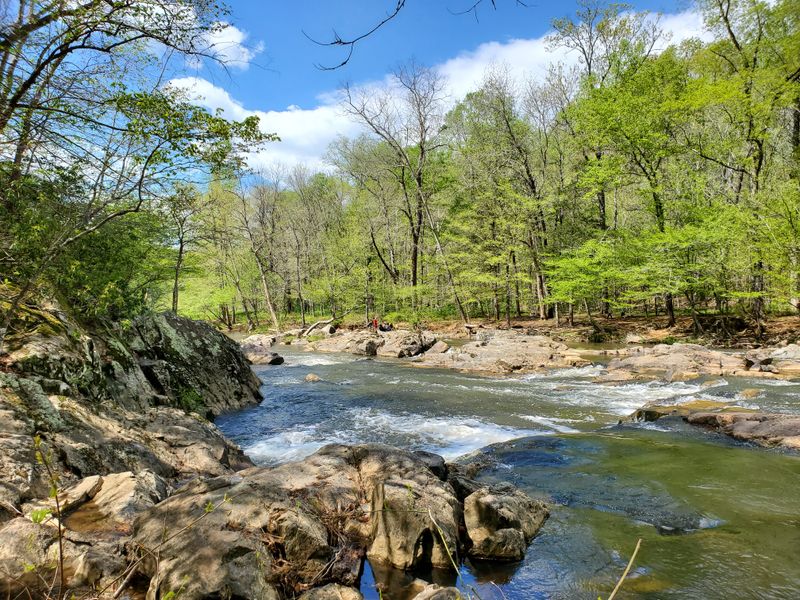 Eno River State Park
