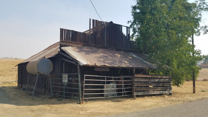 Local Lives Among Ruins: Real People, Real Stories, Real History