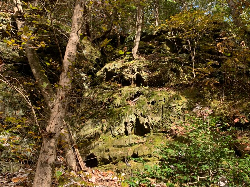 The Sipsey Fork As Weekend Companion