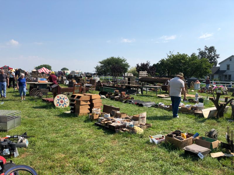 Friday-Saturday Ritual: The Farmers Market Locals Plan Around