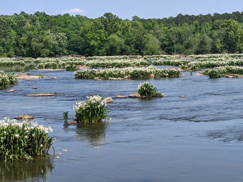 Landsford Canal State Park (Catawba, Near Rock Hill)