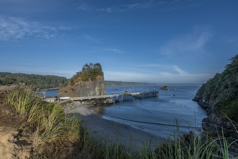 Ocean Cliffs And Redwood Forests Meet In One Place