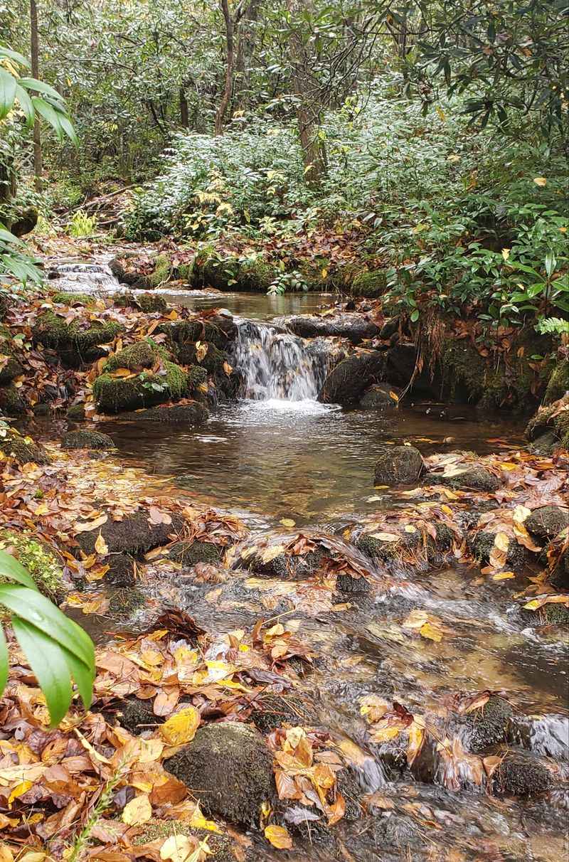 The Waterfall Capital Of The Highlands-Cashiers Plateau