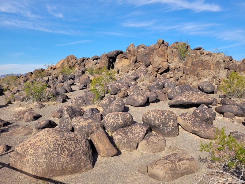 Sonoran Desert National Monument