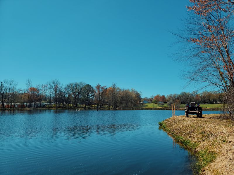 Discover The Charm Of Paris Landing State Park