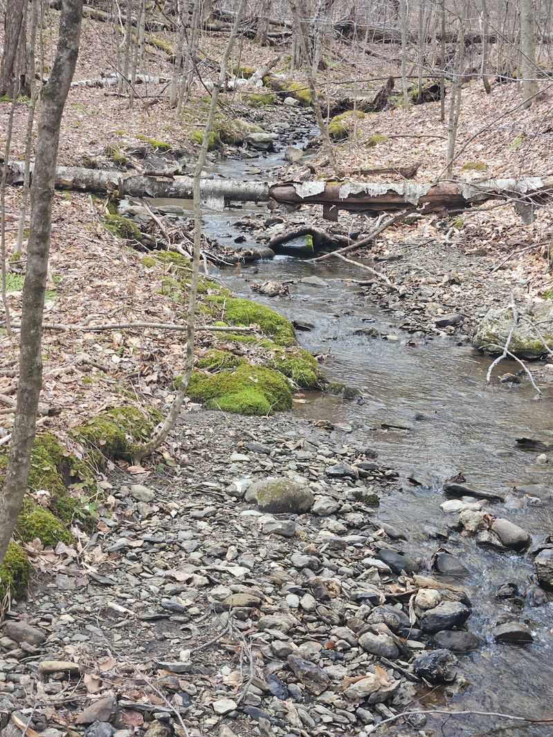 Litter And Waste Management Becomes Overwhelming