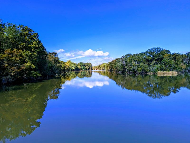 Your Quiet Backup Plan: Lake Fausse Pointe Opens At 6 A.M.