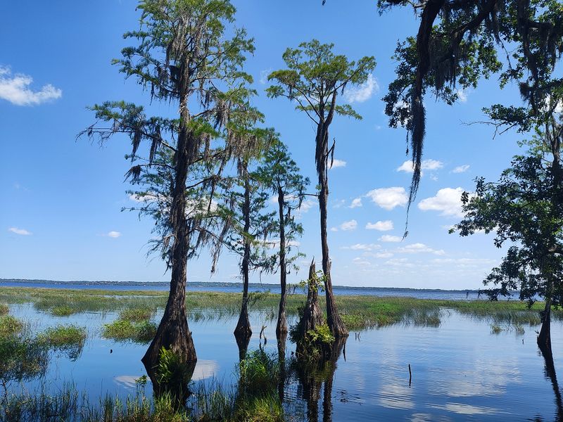 Lake Louisa State Park (Clermont)