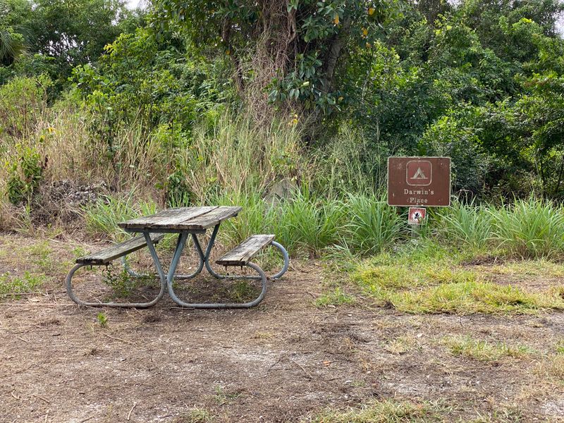 Darwin's Place Wilderness Campsite
