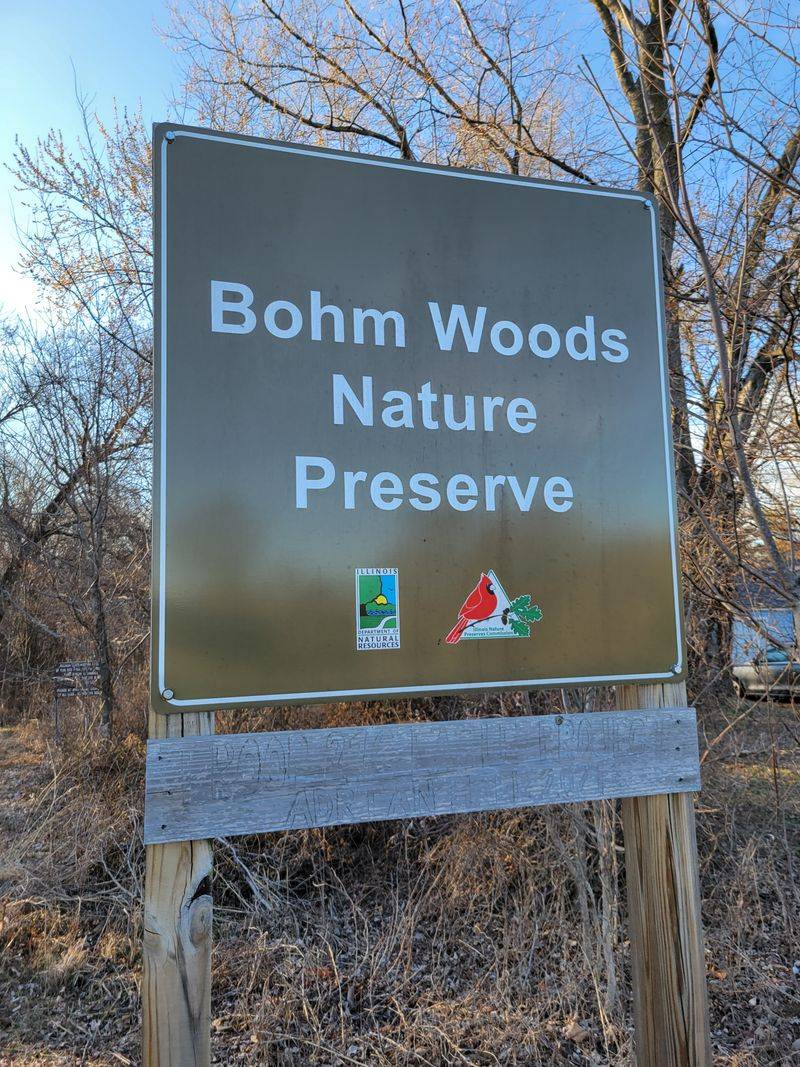 Bohm Woods Nature Preserve (Edwardsville)