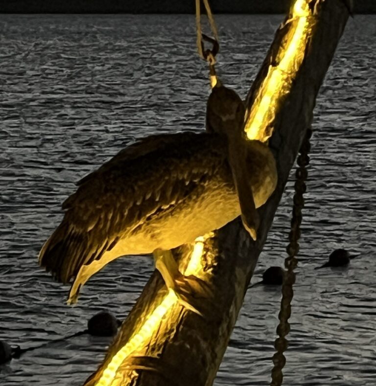 Last minute ideas for your family spring break