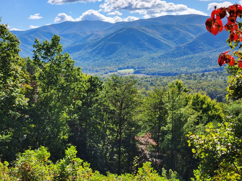 Rich Mountain Loop (Cades Cove)