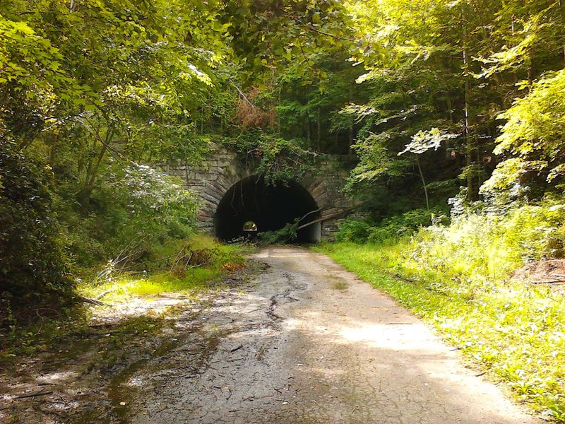 Road To Nowhere (Lakeview Drive)