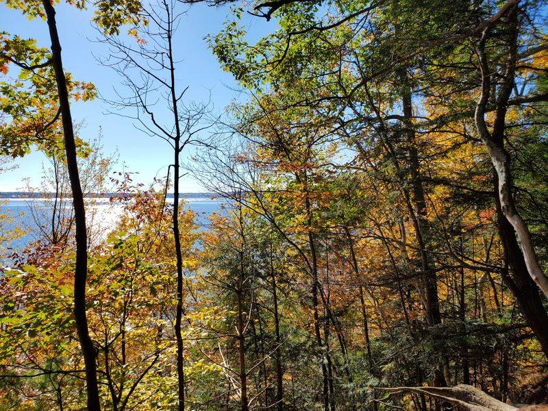Niquette Bay State Park Trails (Colchester)