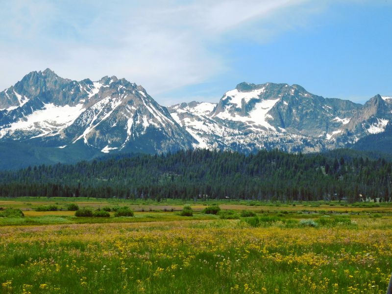A Place Where Wildlife Outnumbers People