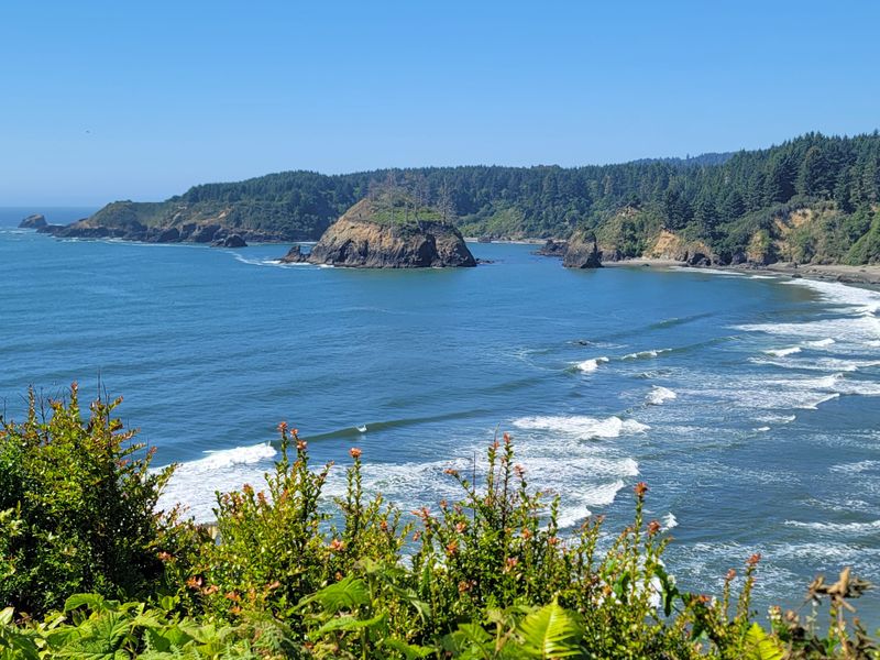 Fern Canyon Feels Like A Secret World