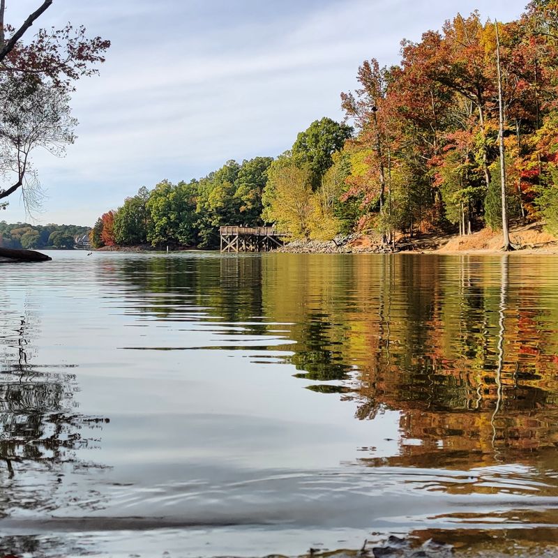 McDowell Nature Center & Preserve (Steele Creek / Lake Wylie Area)