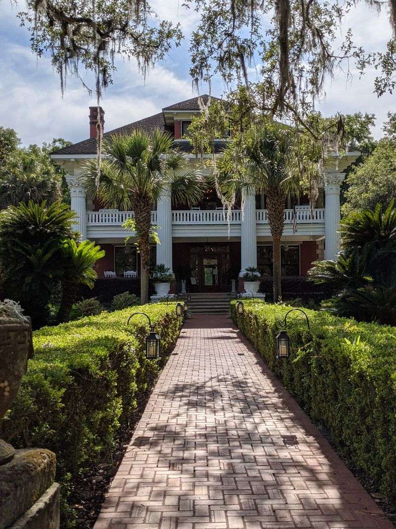 Outdoor Life In Micanopy Is About Walking, Birding, And Quiet Observation