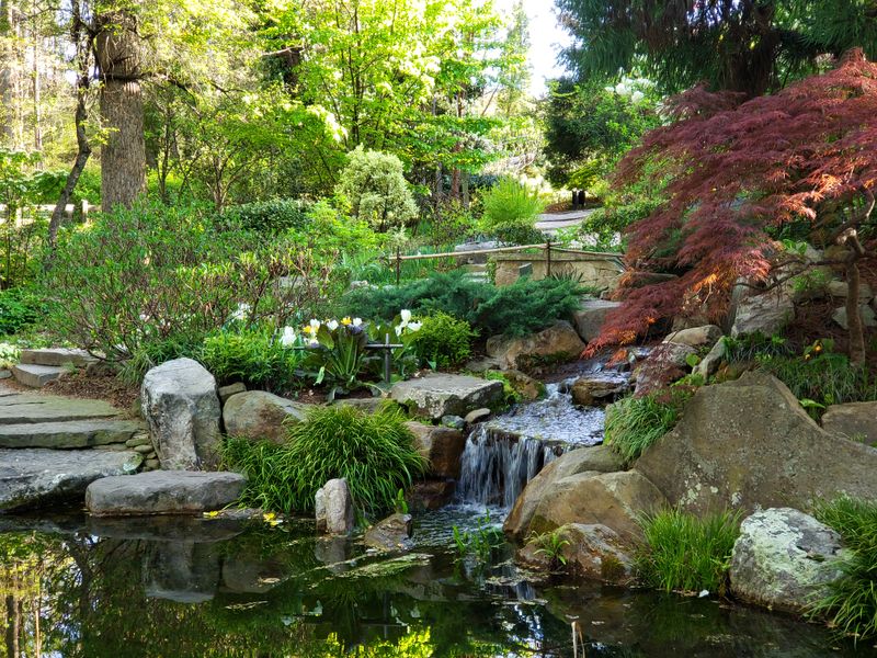UNC Charlotte Botanical Gardens (University City)