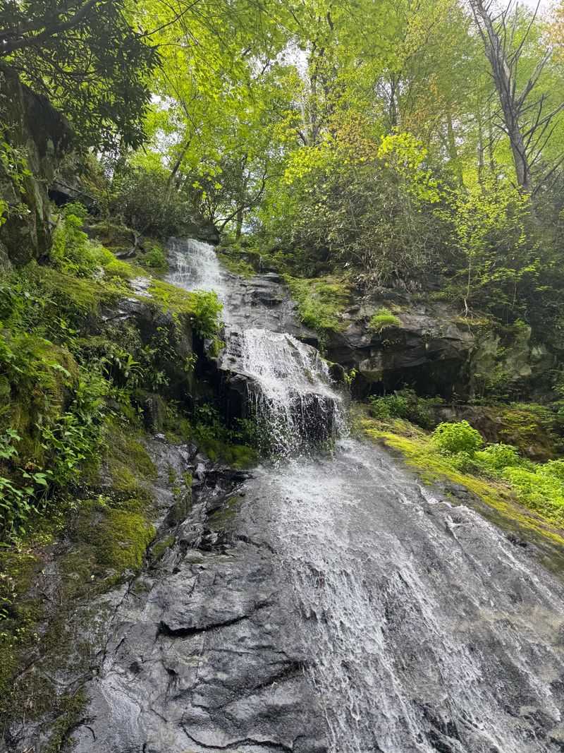 Hen Wallow Falls Via Gabes Mountain Trail (Cosby)