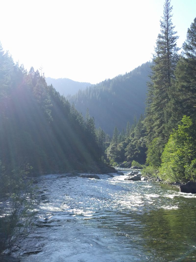 Fishing The North Fork With Quiet Confidence
