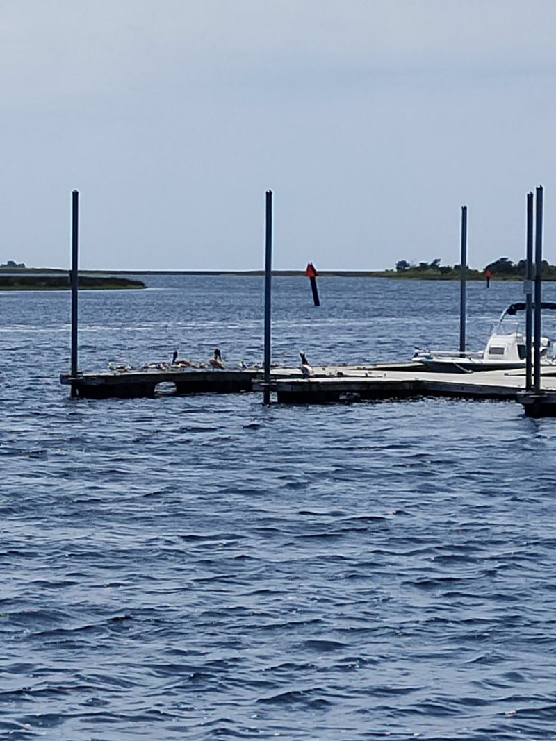 Seafood That Tastes Like Directions