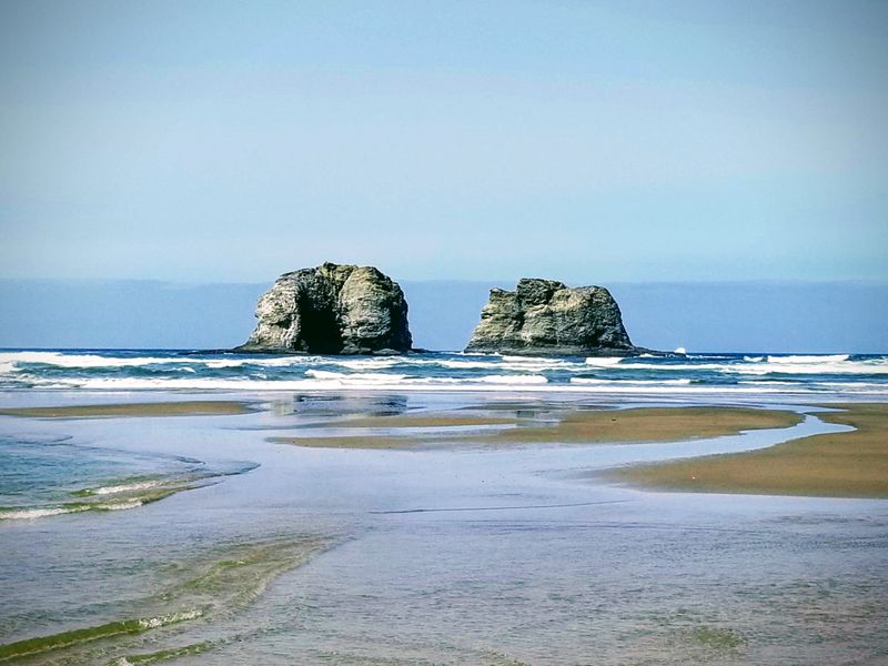 A Perfect Spot For Fresh Seafood: Taste The Ocean