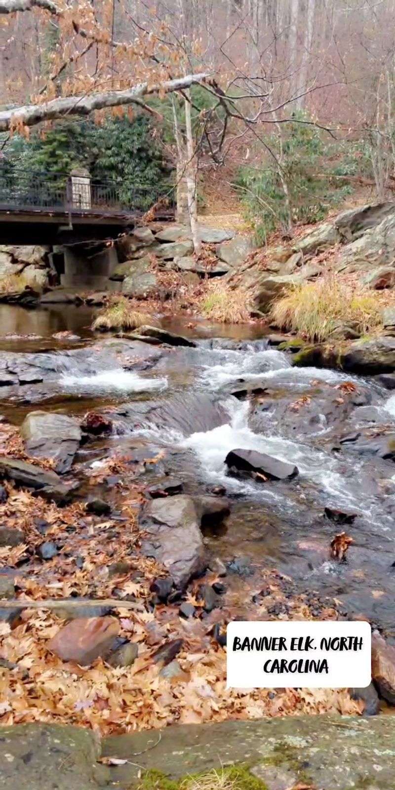 Banner Elk