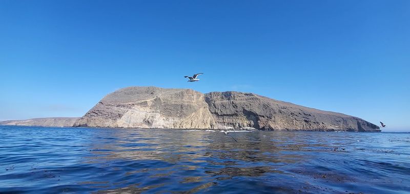 Santa Barbara Island