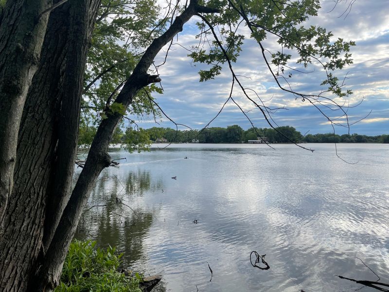 Grassy Lake Forest Preserve & Nature Preserve (Lake Barrington)