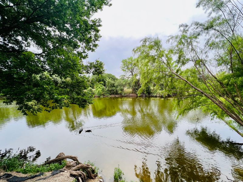 Boerne's Secret Outdoor Escapes: Trails, Parks, And The Guadalupe River