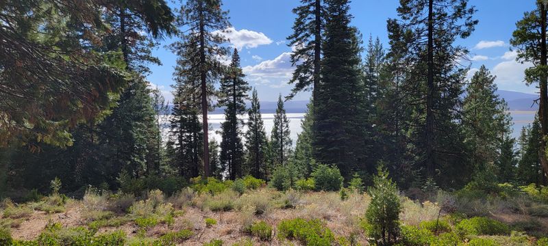 Meadows And Forest Trails Offer Quieter Alternatives