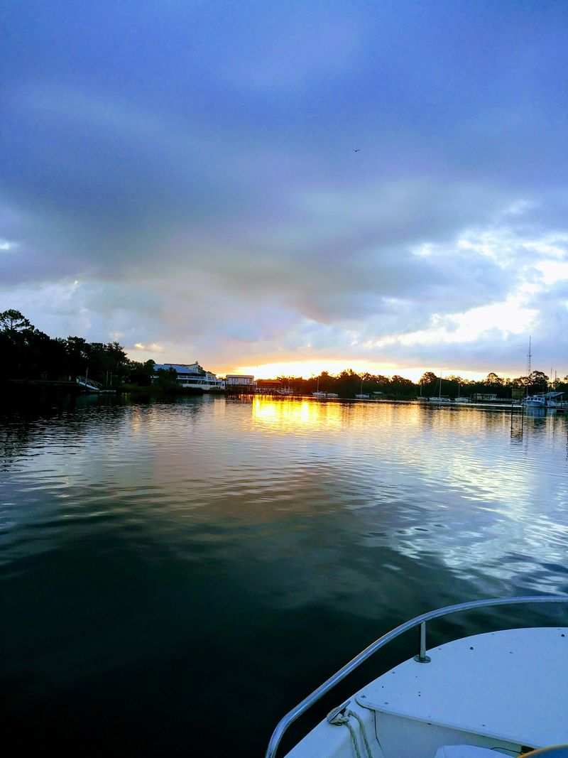 Scallop Season And Soft Celebrations