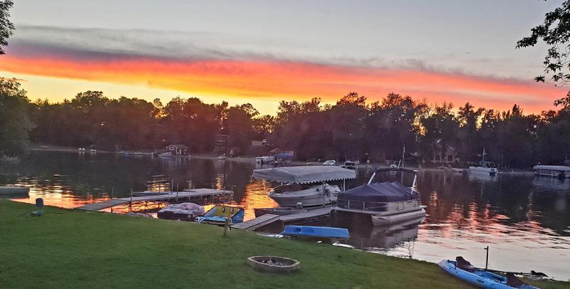 Wildlife You Notice When You Slow Down