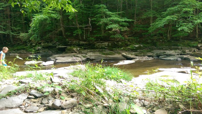 Nearby State Parks Provide Hiking, Overlooks, Waterfalls, And Peaceful Nature Escapes